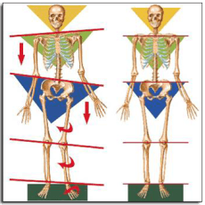 postural physiotherapy