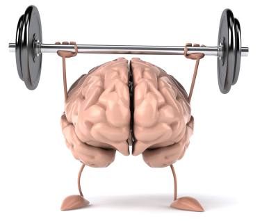 what part of the brain controls muscle memory